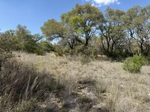 L28 Lipan Apache Run, Blanco, TX 78606 photo 3