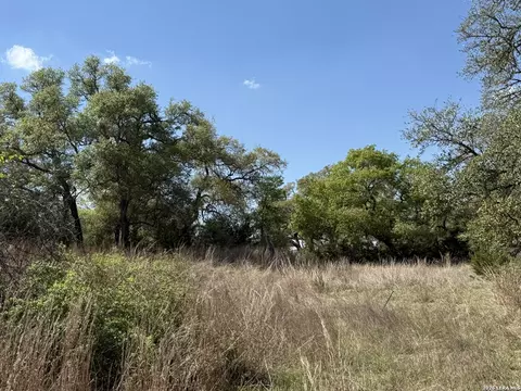 L28 Lipan Apache Run, Blanco, TX 78606 photo 8