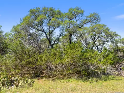 1530 Misty Ln, Spring Branch, TX 78070
