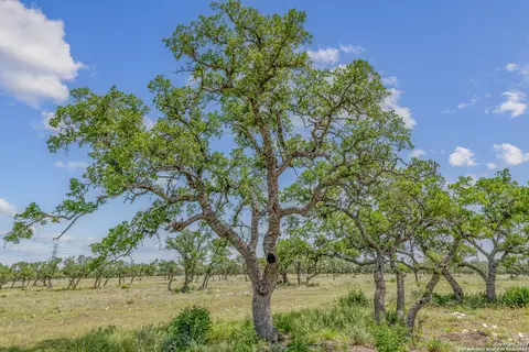 100 Spring Xing, Junction, TX 76849 photo 4