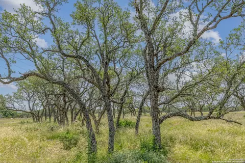 100 Spring Xing, Junction, TX 76849 photo 9