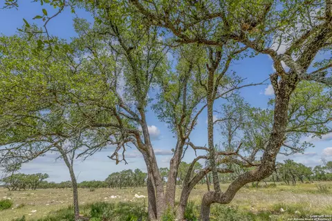 100 Spring Xing, Junction, TX 76849 photo 8