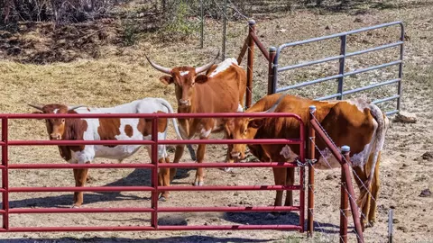 11387 Fm 32, Fischer, TX 78623