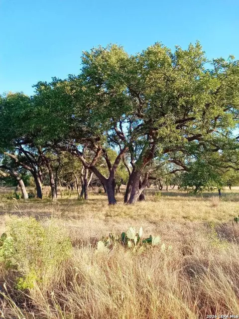 lot142 Mulder Dr, Center Point, TX 78010