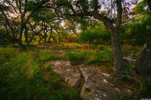 000 Rambling Oaks Rnch, Spring Branch, TX 78070