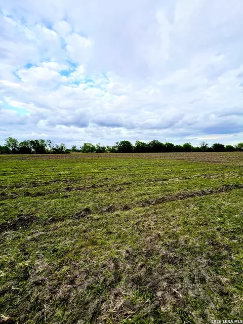 3171 Lower Seguin, Marion, TX 78124