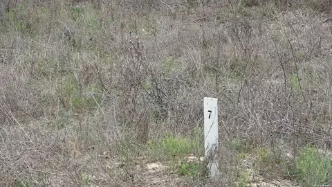 22823 Cherry Rock, Elmendorf, TX 78112