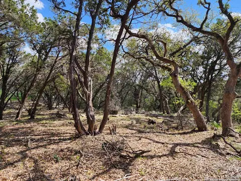 lot18 19 Forest Lake Dr, Spring Branch, TX 78070