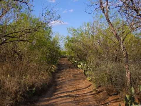 tbd Fm 186, Carrizo Springs, TX 78834