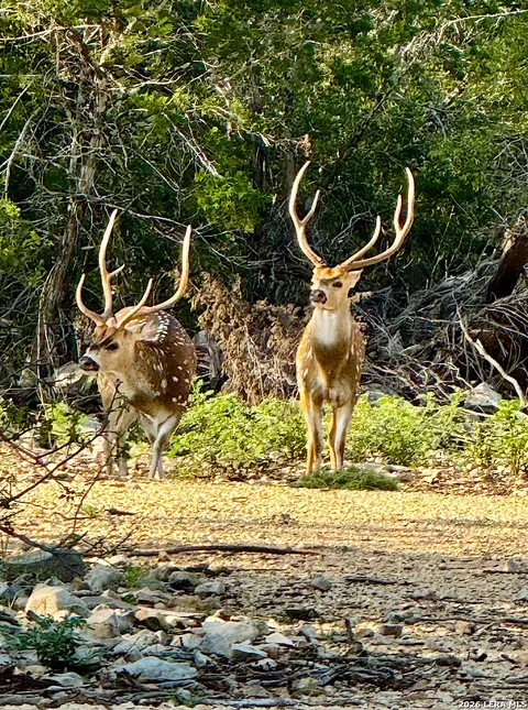 tbd Rm 334, Brackettville, TX 78832