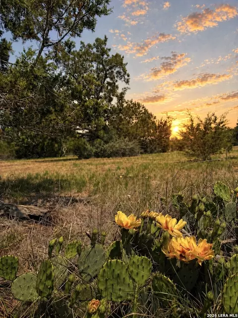 174 Waterman Ln, Pipe Creek, TX 78063