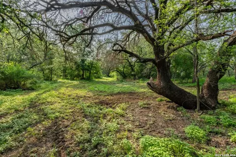 224 County Road 662, Devine, TX 78016 photo 3