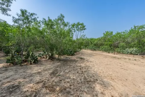 224 County Road 662, Devine, TX 78016 photo 13