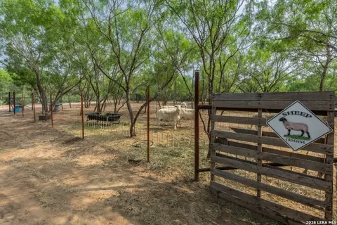 224 County Road 662, Devine, TX 78016 photo 10