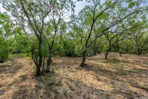 224 County Road 662, Devine, TX 78016 photo 25