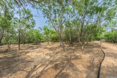224 County Road 662, Devine, TX 78016 photo 42