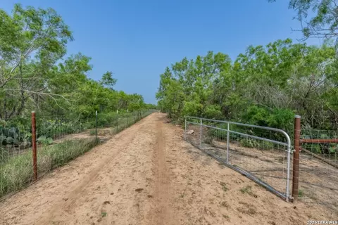 224 County Road 662, Devine, TX 78016 photo 26