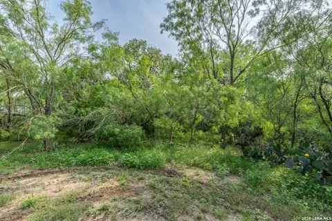 224 County Road 662, Devine, TX 78016 photo 5