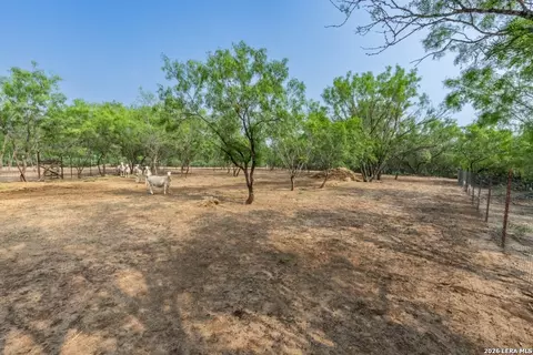 224 County Road 662, Devine, TX 78016 photo 9
