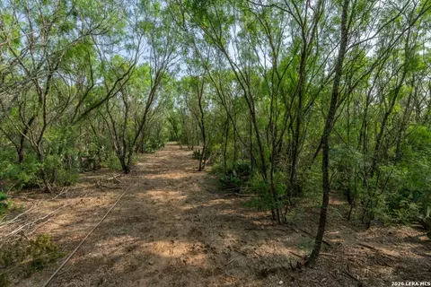 224 County Road 662, Devine, TX 78016 photo 23