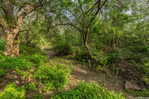 224 County Road 662, Devine, TX 78016 photo 32