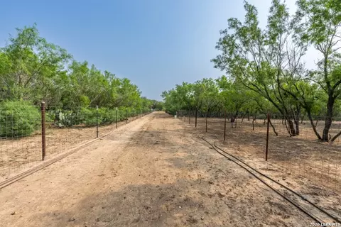 224 County Road 662, Devine, TX 78016 photo 12