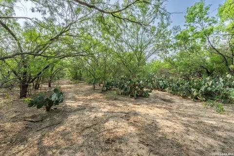 224 County Road 662, Devine, TX 78016 photo 15