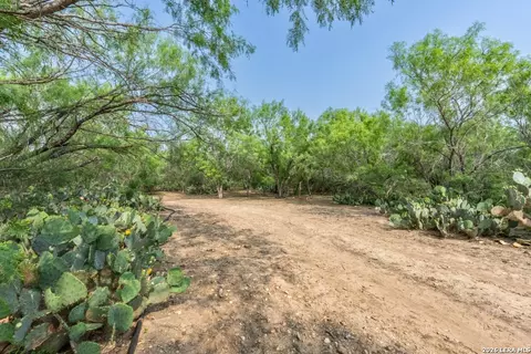224 County Road 662, Devine, TX 78016 photo 43