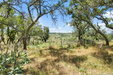 tbd Kendalia Rd, Blanco, TX 78606 photo 24
