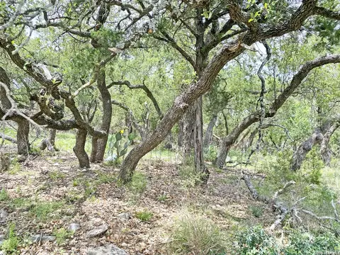 25726 Echo Mtn, San Antonio, TX 78260