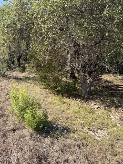 247 Restless Wind, Spring Branch, TX 78070 photo 12