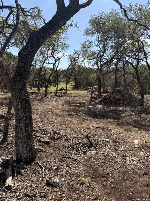 247 Restless Wind, Spring Branch, TX 78070 photo 10