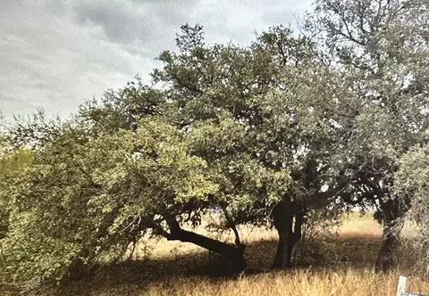 71 River Blf, Castroville, TX 78009