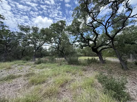 1154 Madrone Rd, Fischer, TX 78623
