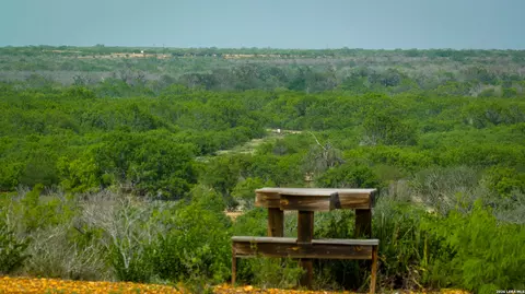 View/Area - 5797 Fm 3408, Cotulla, TX 78014 photo 4 of 17