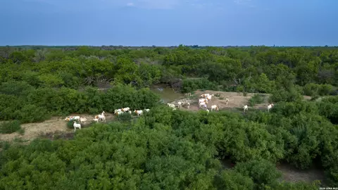 View/Area - 5797 Fm 3408, Cotulla, TX 78014 photo 10 of 17