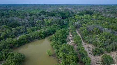 View/Area - 5797 Fm 3408, Cotulla, TX 78014 photo 11 of 17