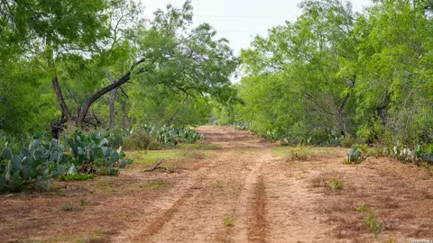 Other - 5797 Fm 3408, Cotulla, TX 78014 photo 7 of 15