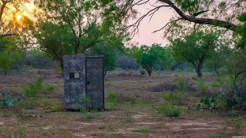 Other - 5797 Fm 3408, Cotulla, TX 78014 photo 10 of 15