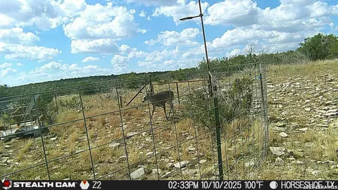 0 W Cooper Rd, Comstock, TX 78837 photo 41