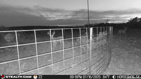 0 W Cooper Rd, Comstock, TX 78837 photo 44