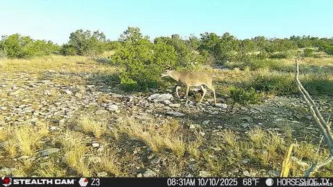 0 W Cooper Rd, Comstock, TX 78837 photo 47