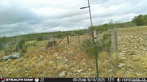 0 W Cooper Rd, Comstock, TX 78837 photo 42