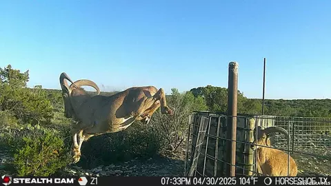 0 W Cooper Rd, Comstock, TX 78837 photo 43