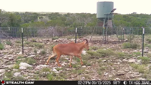 0 W Cooper Rd, Comstock, TX 78837 photo 40