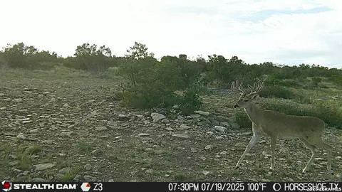 0 W Cooper Rd, Comstock, TX 78837 photo 45