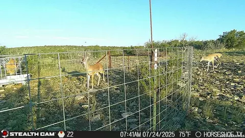 0 W Cooper Rd, Comstock, TX 78837 photo 46