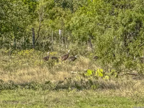 20945 Cactus Rd, Eldorado, TX 76936 photo 7