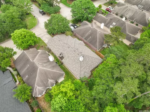 View/Area - 34 W Foxbriar Forest Cir, Spring, TX 77382 photo 4 of 8