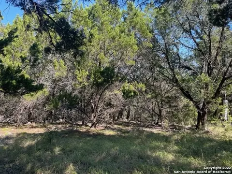 420 Spring St, Spring Branch, TX 78070 photo 3